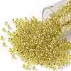 TOHO 8/0 Round Beads X-SEED-TR08-2151S-1