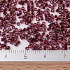 MIYUKI Delica Beads SEED-X0054-DB1751-4
