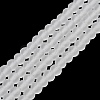 Transparent Glass Beads Strands EGLA-A034-T4mm-MD19-2