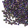 FGB 11/0 Grade A Glass Seed Beads SEED-S030-0004-2
