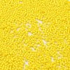 Baking Paint Glass Seed Beads X-SEED-S042-05B-81-3
