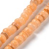 Natural Cultured Freshwater Shell Beads Strands SHEL-F002-01E-1