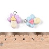 Opaque Resin Pendants MACR-P043-N05-3