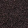 TOHO 11/0 Round Beads SEED-XTR11-0006CF-2