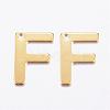304 Stainless Steel Charms STAS-P141-F-1