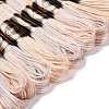 10 Skeins 6-Ply Polyester Embroidery Floss OCOR-K006-A23-2