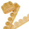 about 4.75~5 Yards Polyester Lace Trim OCOR-PH0001-96B-7