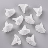 Transparent Acrylic Beads BSF796-4
