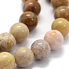 Natural Fossil Coral Beads Strands G-G763-12-4mm-6