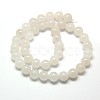 Natural Malaysia Jade Bead Strands G-M101-10mm-09-2