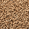 MIYUKI Delica Beads SEED-X0054-DB1152-1