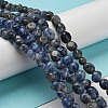 Natural Blue Spot Jasper Bead Strands G-F465-53-2