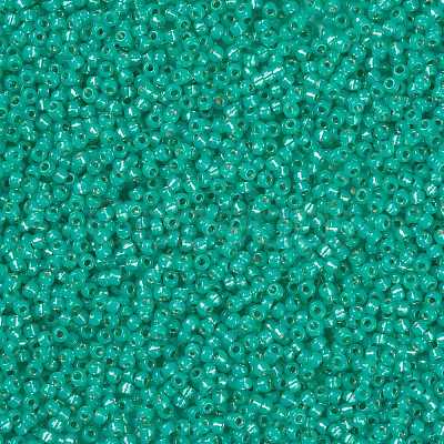 MIYUKI Round Rocailles Beads X-SEED-G008-RR0572-1