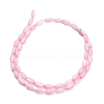 Natural Freshwater Shell Beads Strands X-SHEL-C010-01E-1