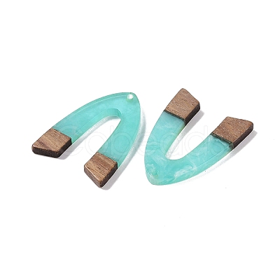 Resin & Wood Pendants WOOD-F015-16D-1