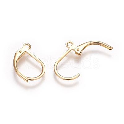 304 Stainless Steel Leverback Earrings Findings X-STAS-P227-47G-1