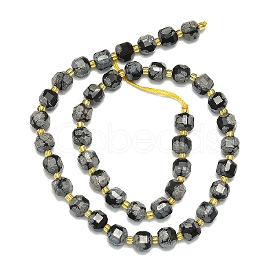 Natural Snowflake Obsidian Beads Strand G-I376-D08-01-1