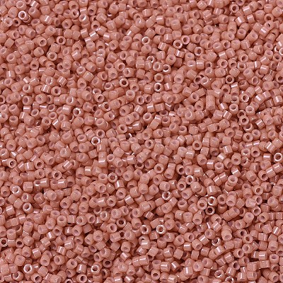 MIYUKI Delica Beads X-SEED-J020-DB1363-1