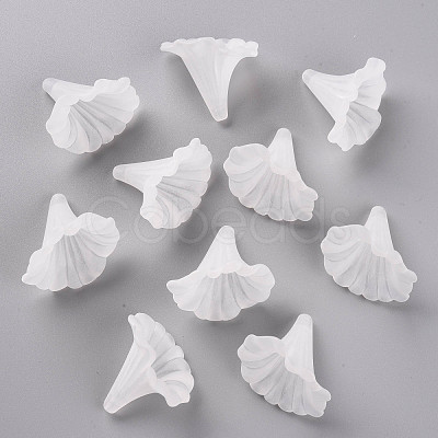 Transparent Acrylic Beads BSF796-1