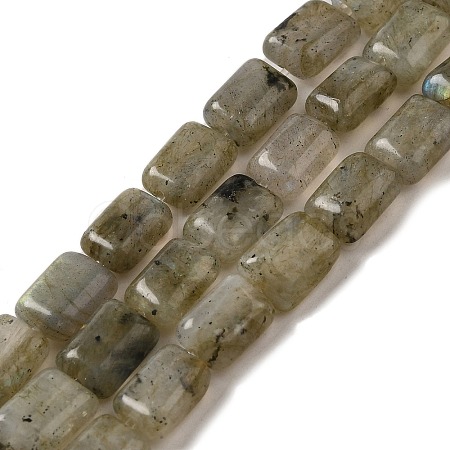 Natural Labradorite Beads Strands G-G085-A25-01-1