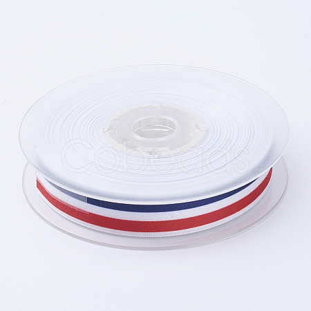 Grosgrain Polyester Ribbons for Gift Packings SRIB-P010-25mm-01-1
