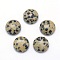 Natural Dalmatian Jasper Cabochons, Half Round, 10x4~5mm