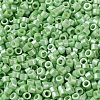 Baking Paint Glass Seed Beads SEED-S042-15A-08-3