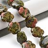 Natural Unakite Beads Strands G-F769-V01-02-2