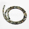 Natural African Turquoise(Jasper) Beads Strands G-D840-90-10mm-2