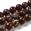 Natural Ocean Jasper Beads Strands G-H298-A13-04-1