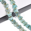 Natural Amazonite Beads Strands G-N371-10A-06-1