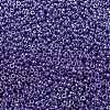 MIYUKI Round Rocailles Beads SEED-X0055-RR0432-3