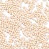 Baking Paint Glass Seed Beads X1-SEED-A033-05A-3