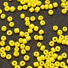 6/0 Glass Seed Beads SEED-J014-F6-42-2