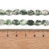 Natural Green Spot Jasper Beads Strands G-H349-A01-20-5