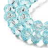 Transparent Baking Paint Glass Beads Strands DGLA-A034-T8mm-D12-3