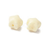 Natural Tagua Beads Jewelry Findings WOOD-V001-03-2