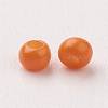 11/0 FGB Grade A Baking Paint Glass Seed Beads X-SEED-N001-A-1004-2