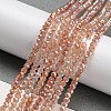 Transparent Baking Paint Glass Beads Strands DGLA-F002-02B-05-2