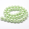 Polished Round Grade A Shell Pearl Bead Strands BSHE-M027-6mm-21-3