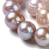 Natural Cultured Freshwater Pearl Beads Strands PEAR-E018-19A-3
