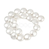 Electroplated Shell Pearl Beads Strands BSHE-G027-13D-3