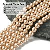 Eco-Friendly Dyed  Glass Pearl Round Beads Strands HY-A002-8mm-RB092-2