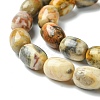 Barrel Shaped Gemstone Natural Crazy Lace Agate Beads Strands G-S114-08-5