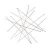 304 Stainless Steel Flat Head Pins STAS-Z089-03P-09-2