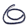 Natural Sodalite Beads Strands G-P468-19-3