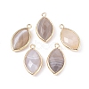 Natural Botswana Agate Pendants X-G-L514-023E-1