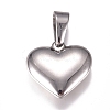 Tarnish Resistant 304 Stainless Steel Pendants STAS-I135-19P-1