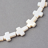Natural Freshwater Shell Beads Strands X-SSHEL-Q296-34-2