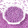 (Repacking Service Available) Glass Seed Beads SEED-C020-4mm-150-1